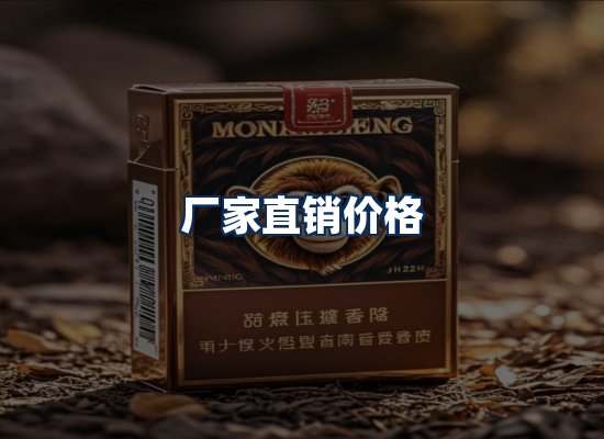 专业团队办公环境